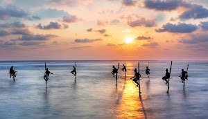 Ray Ceylon Lanka Tours place picture